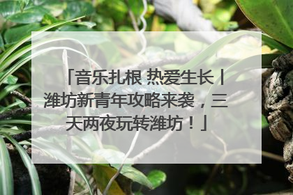 音乐扎根 热爱生长丨潍坊新青年攻略来袭，三天两夜玩转潍坊！